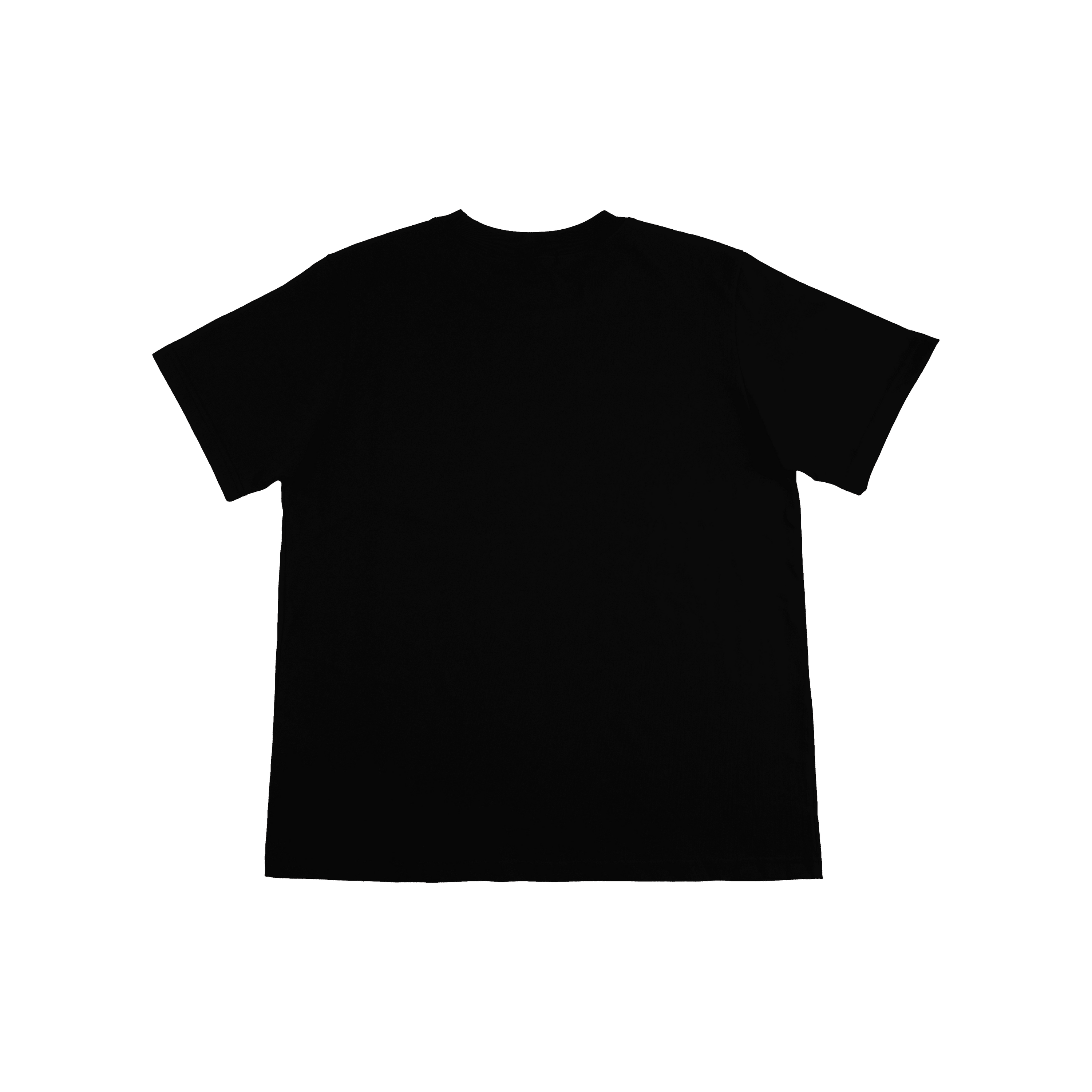 FLYING ENTITIES T-SHIRT (Black)